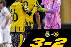 九游娱乐入口赛地聚焦——德国杯转会期热度飙升；阿森纳完成体检；话题不断；临场指挥获称赞的简单介绍